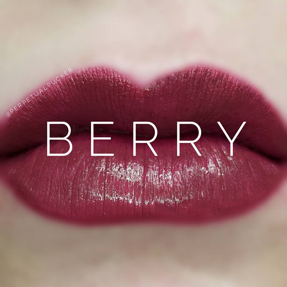 Berry Starter Collection (color, glossy gloss and oops remover) - HoneyLoveBoutique