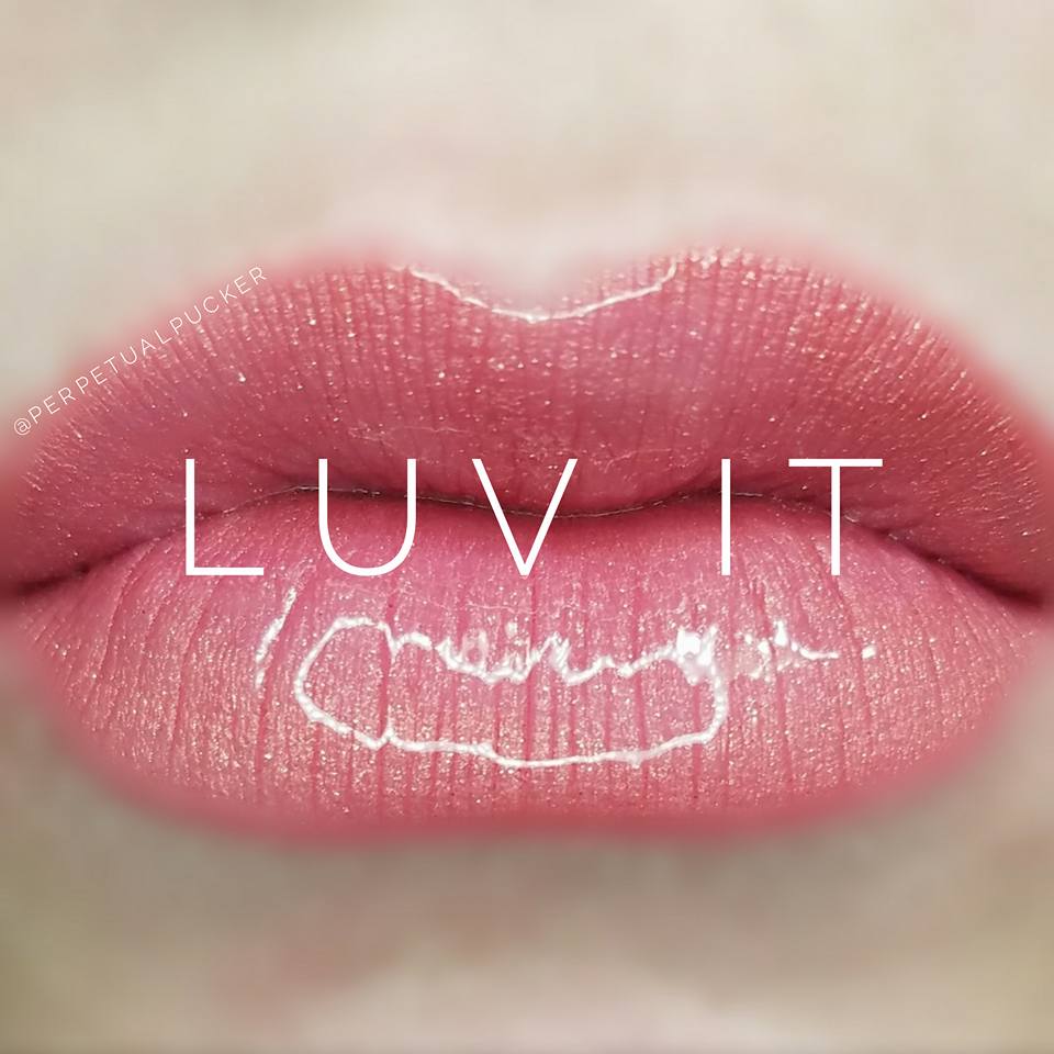 Luv It Starter Collection (color, glossy gloss and oops remover) - HoneyLoveBoutique