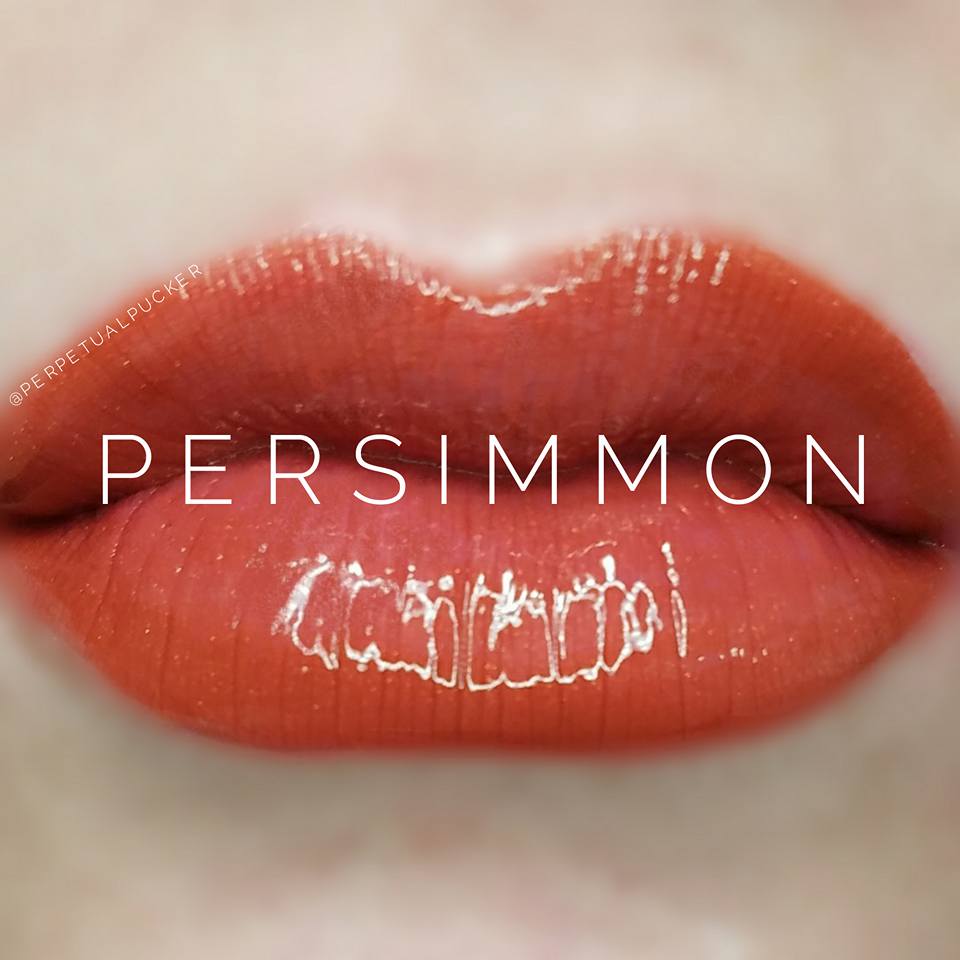 Persimmon Starter Collection (color, glossy gloss and oops remover) - HoneyLoveBoutique
